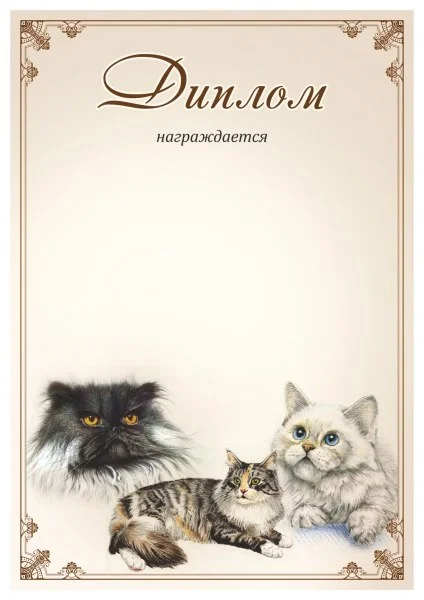 Фото Диплом 00574 Кошки со склада магазина Спортев