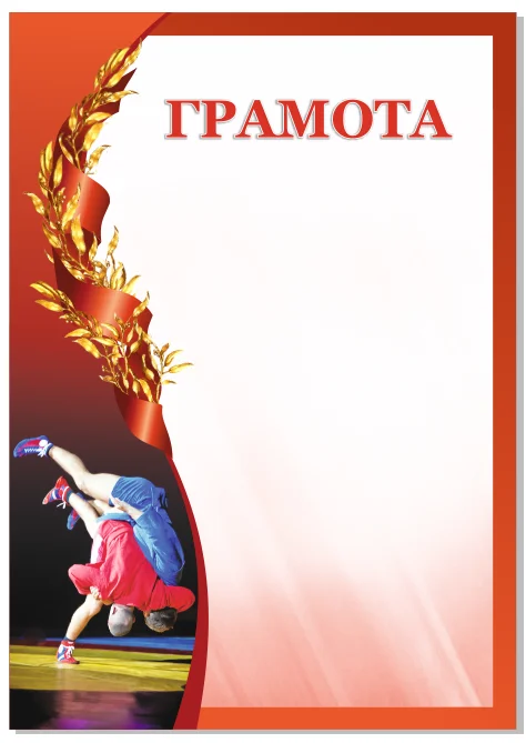 Фото Грамота 00595 самбо со склада магазина Спортев