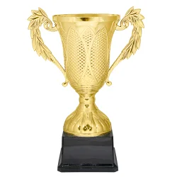 Кубок KB 9244/G B (H-24 см, D-100 мм)