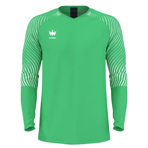 Фото Свитер вратарский Evolution GK Jersey 131411-330 со склада магазина Спортев