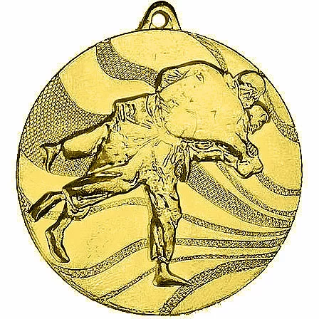 Фото Медаль MMC 2650/G дзюдо (D-50 мм, s-2,5 мм) со склада магазина Спортев