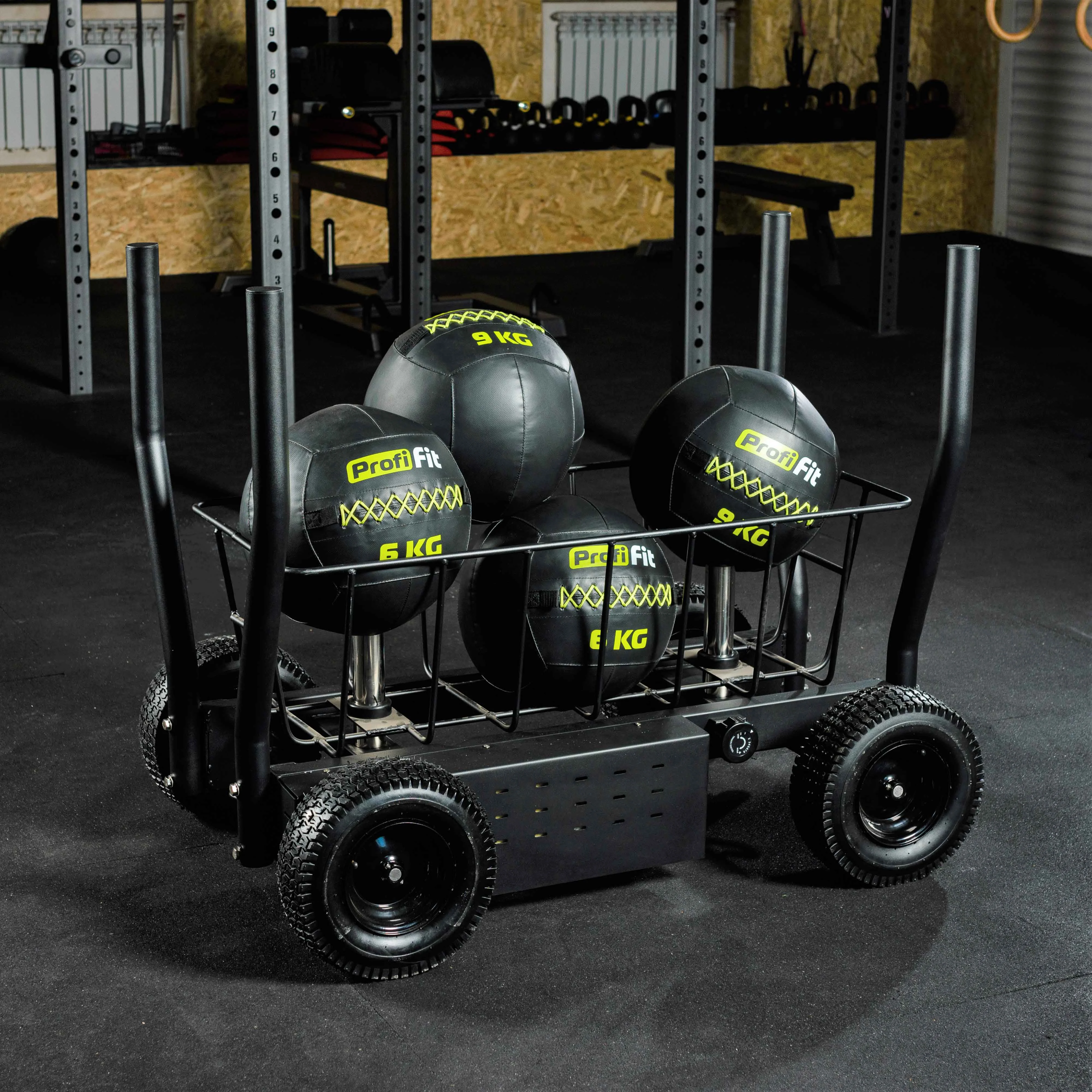 Фото Сани-тележка для функционального тренинга (Тренажер Tank) TANGEN со склада магазина Спортев