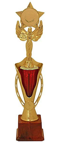 Фото Кубок KB 9055/B (H-40,5 см) со склада магазина Спортев