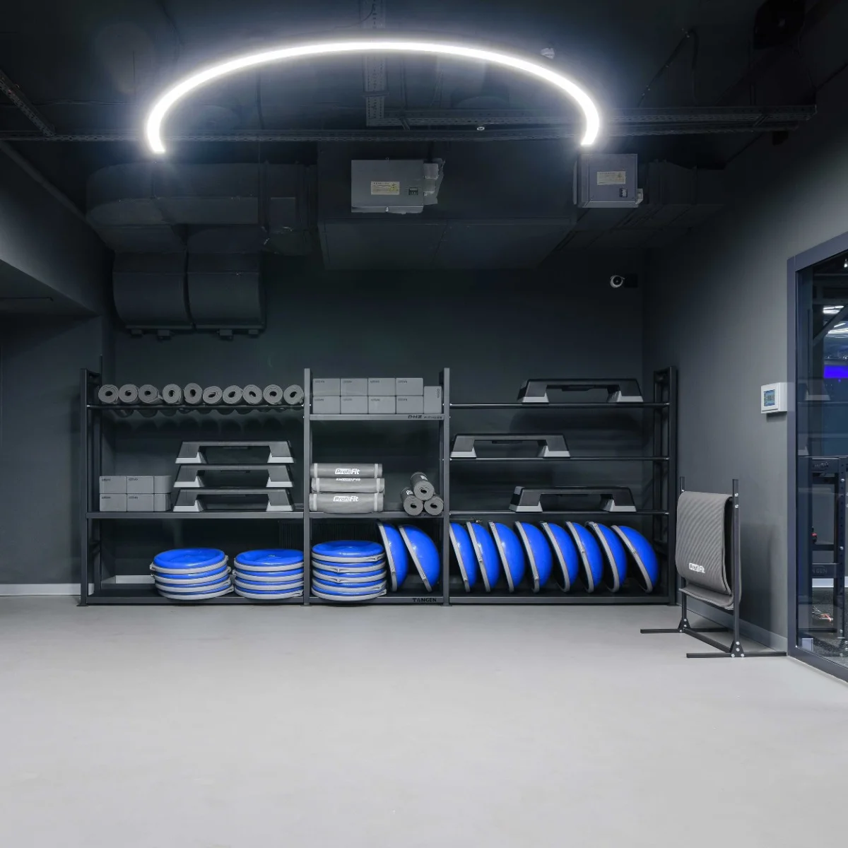 Фото Полусфера для фитнеса PROFI-FIT со склада магазина Спортев