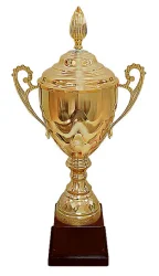 Кубок HB 5 C (H-57 см, D-180 мм)