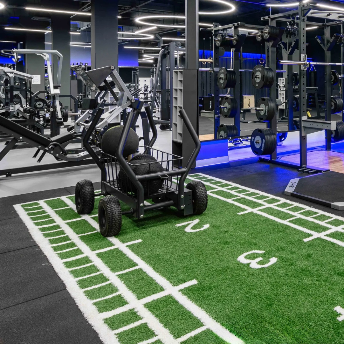 Фото Сани-тележка для функционального тренинга (Тренажер Tank) TANGEN со склада магазина Спортев