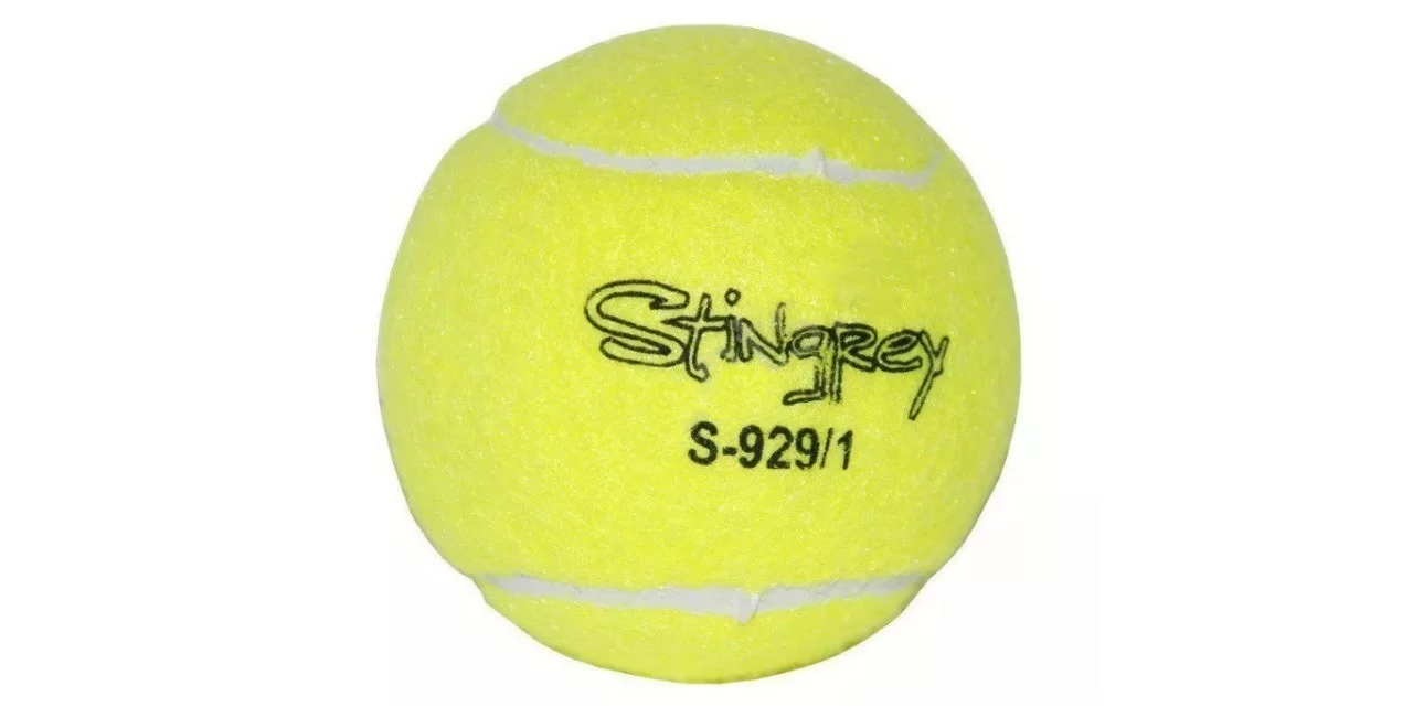 Фото Мяч для тенниса Swidon отскок 130-140 см (1 шт) S-929/1 со склада магазина СпортЕВ