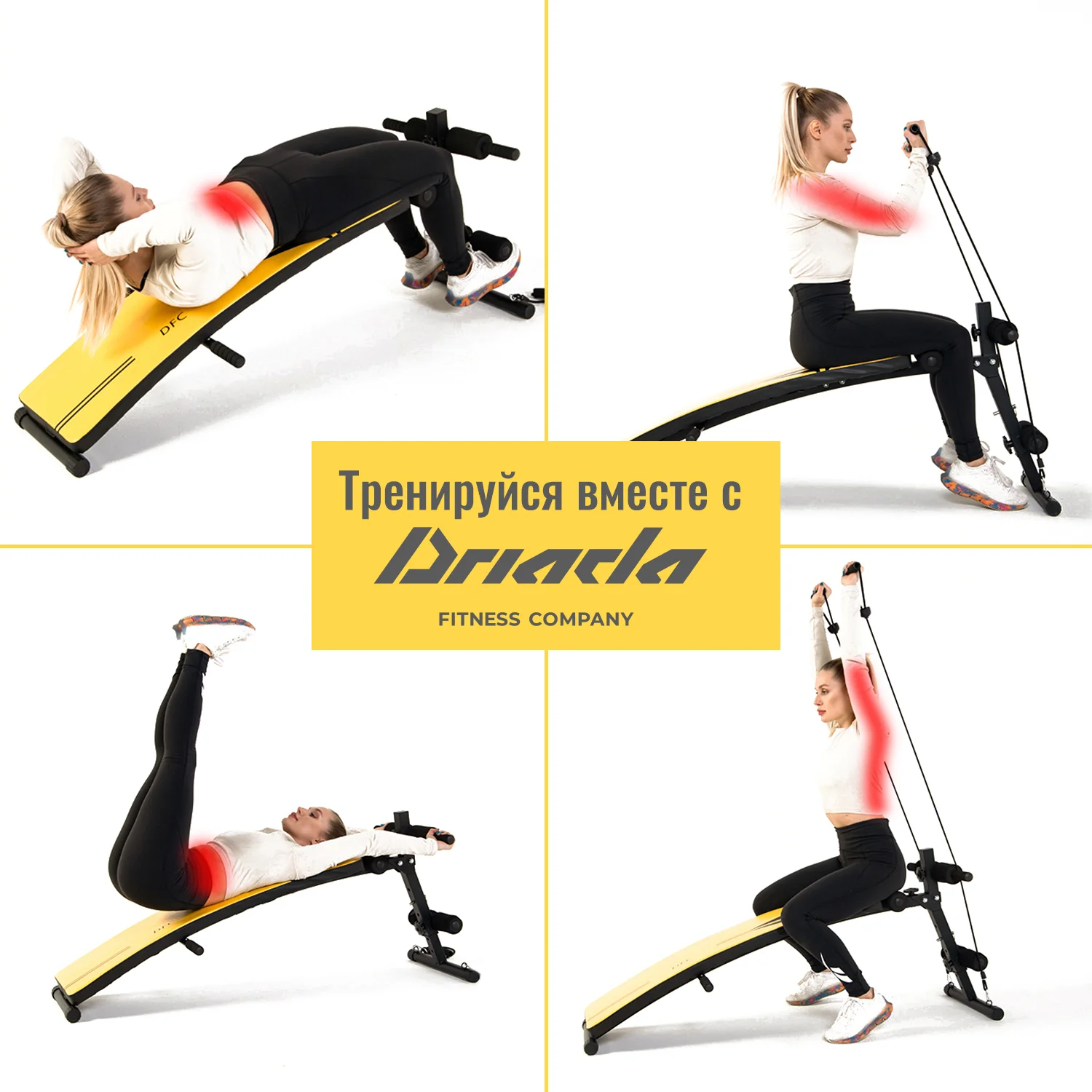 Фото Скамья для пресса DFC D102Y со склада магазина Спортев