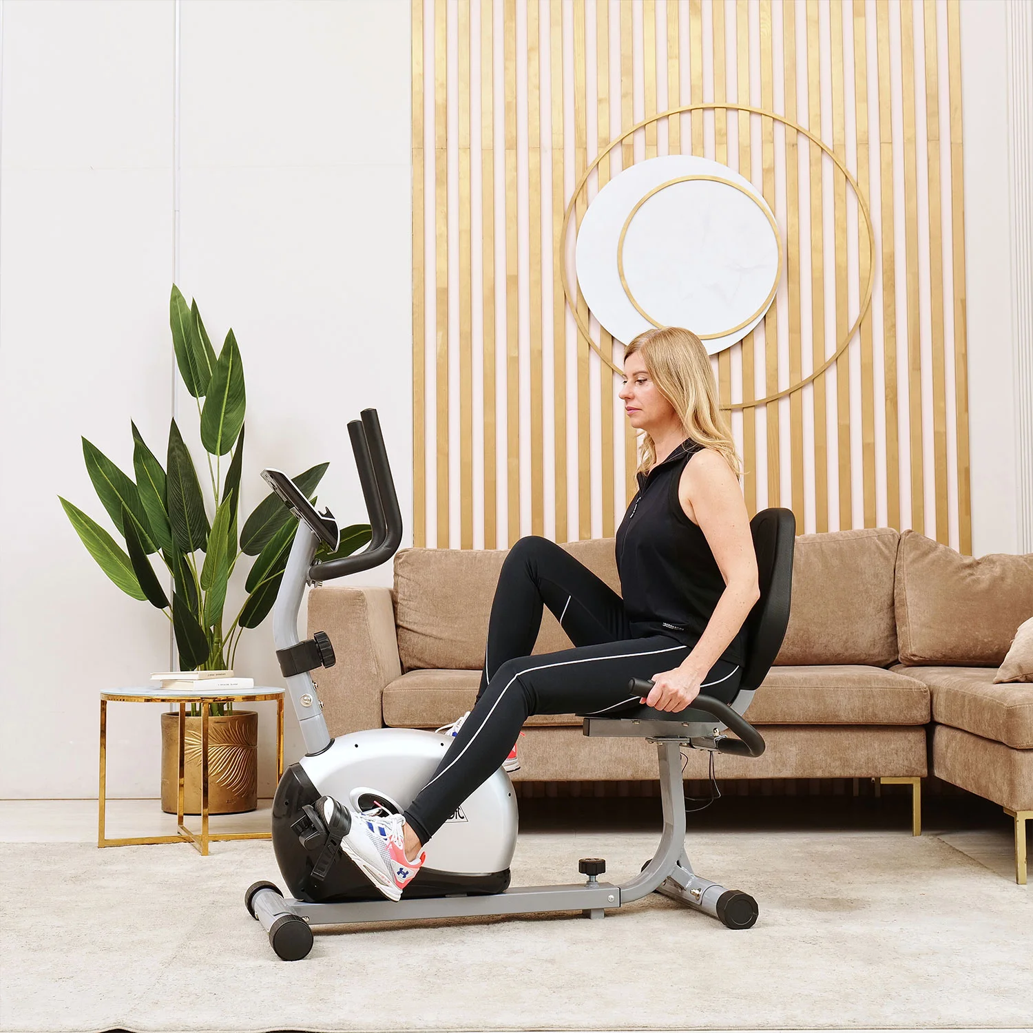 Фото Велотренажер DFC B3.2R горизон. магн. со склада магазина Спортев