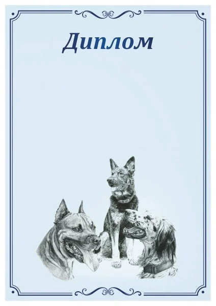 Фото Диплом 00575 Собаки со склада магазина Спортев