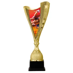 Кубок KB 8079 борьба B (H- 38,5 см)