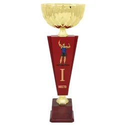 Кубок KB 6022 A гиревой спорт (H- 39,5 см, D- 140 мм)