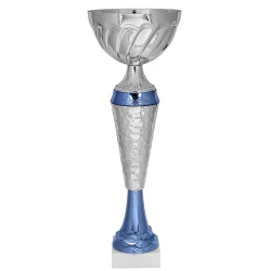 Кубок KB 7137 C (H - 30,5 см, D-100 мм)