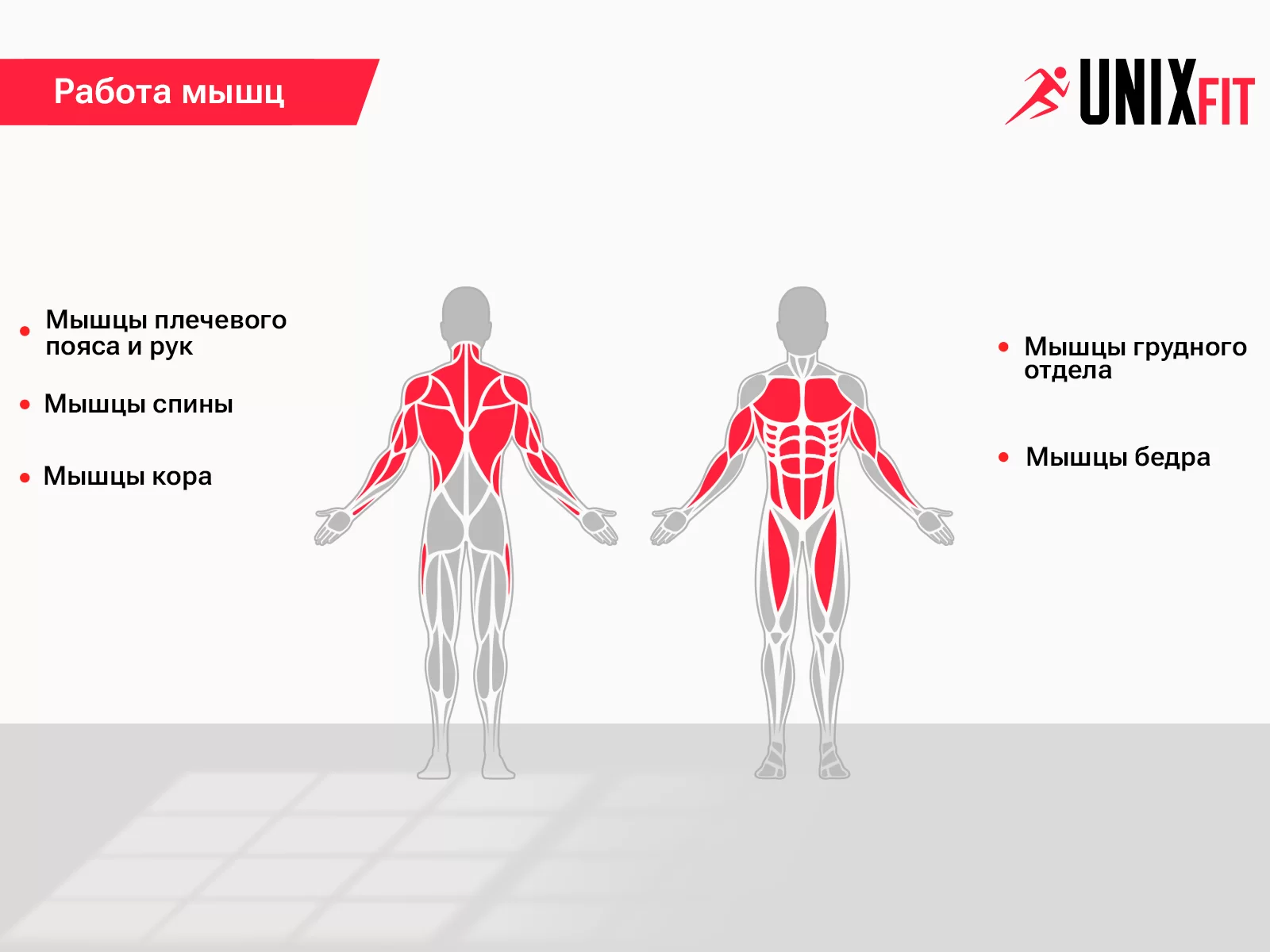 Фото Турник многофункциональный UNIX Fit PULL UP 120P со склада магазина Спортев