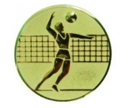 Фото Вставка для медалей AM1-19-G 25 мм пластик волейбол со склада магазина Спортев