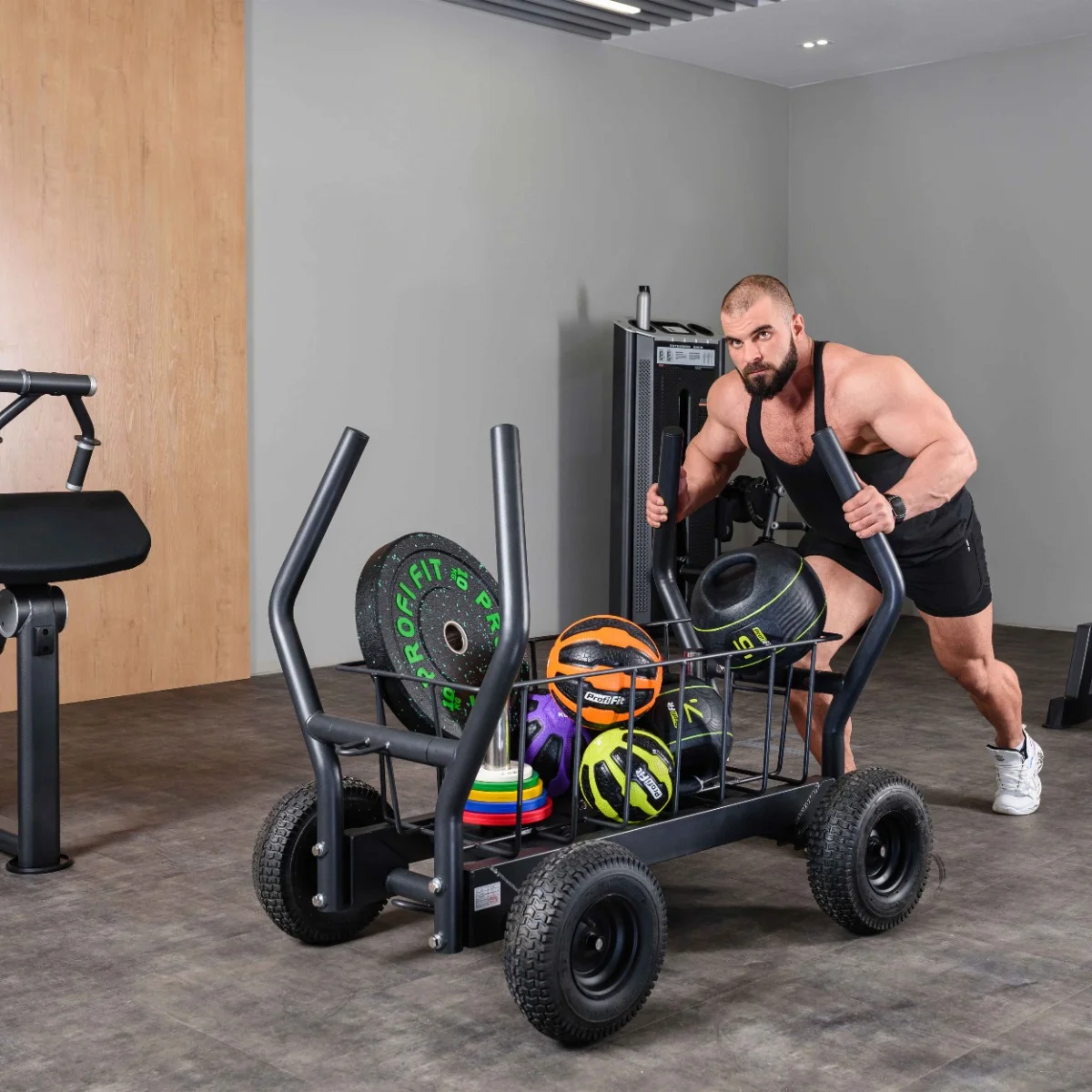 Фото Сани-тележка для функционального тренинга ТАНГЕН со склада магазина Спортев