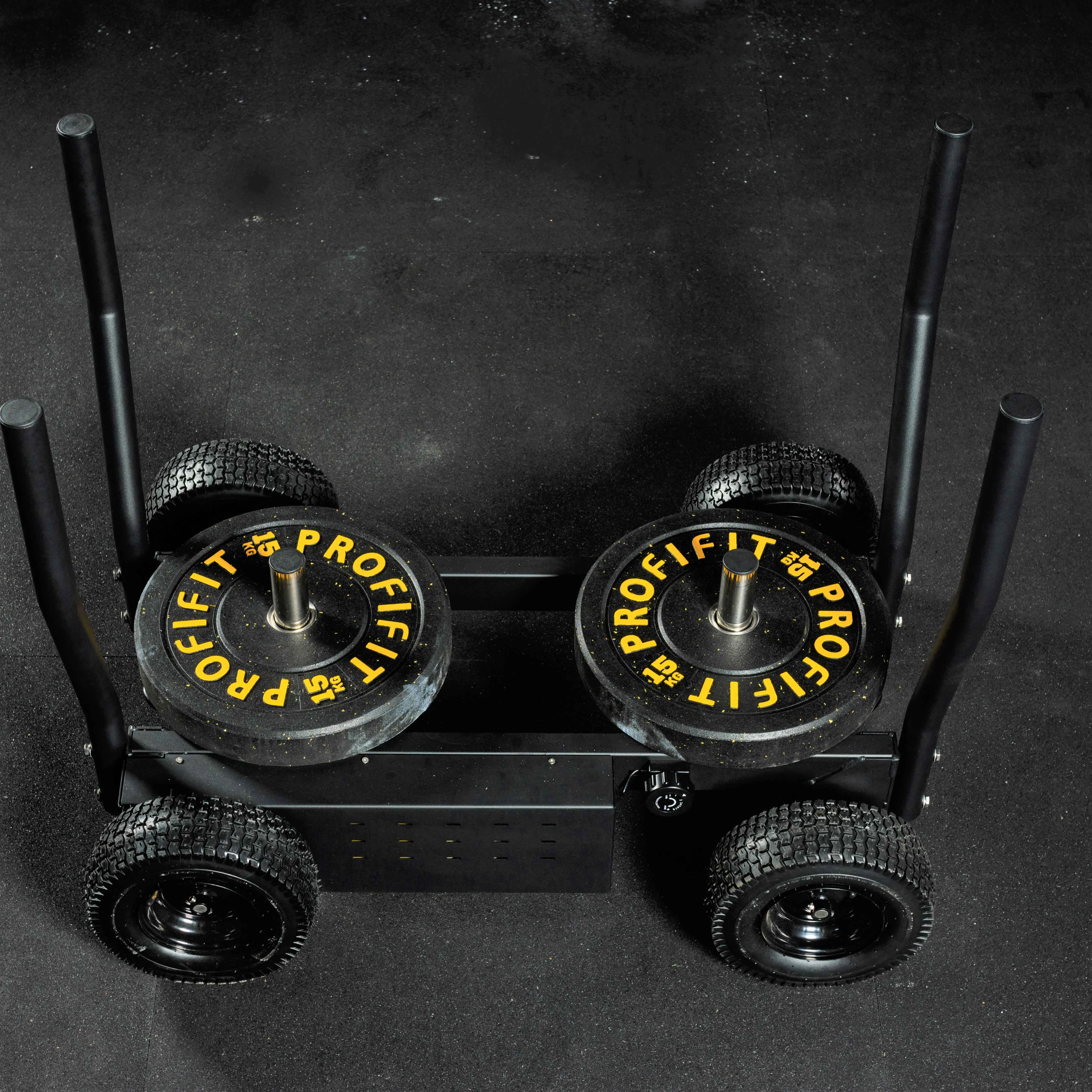 Фото Сани-тележка для функционального тренинга ТАНГЕН со склада магазина Спортев