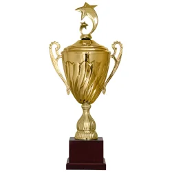 Кубок KB 1107 B (H- 62 см, D-180 мм)