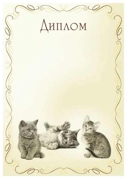 Фото Диплом 00573 Кошки со склада магазина Спортев