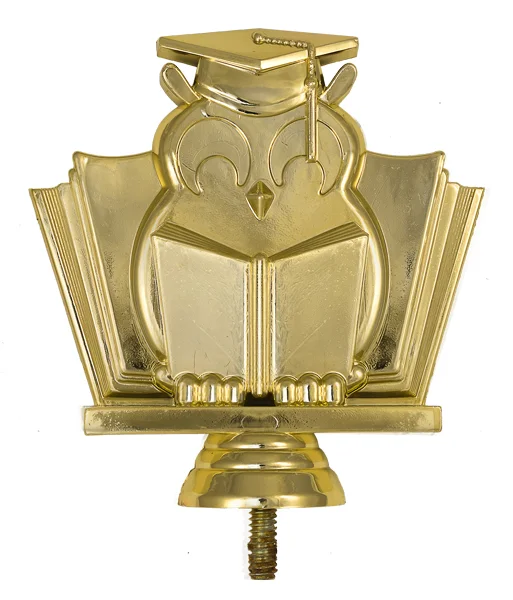 Фото Фигура B358/G знание (H-10 см) со склада магазина Спортев