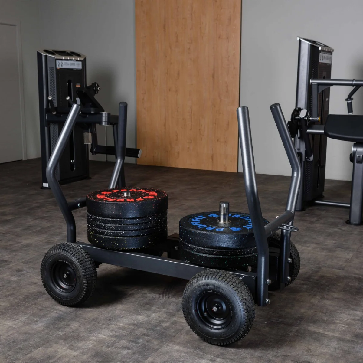 Фото Сани-тележка для функционального тренинга ТАНГЕН со склада магазина Спортев