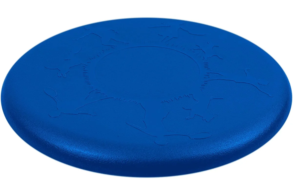 Фото Летающая тарелка - фрисби Fortius ТЭП синий H231201-23LB-T со склада магазина Спортев