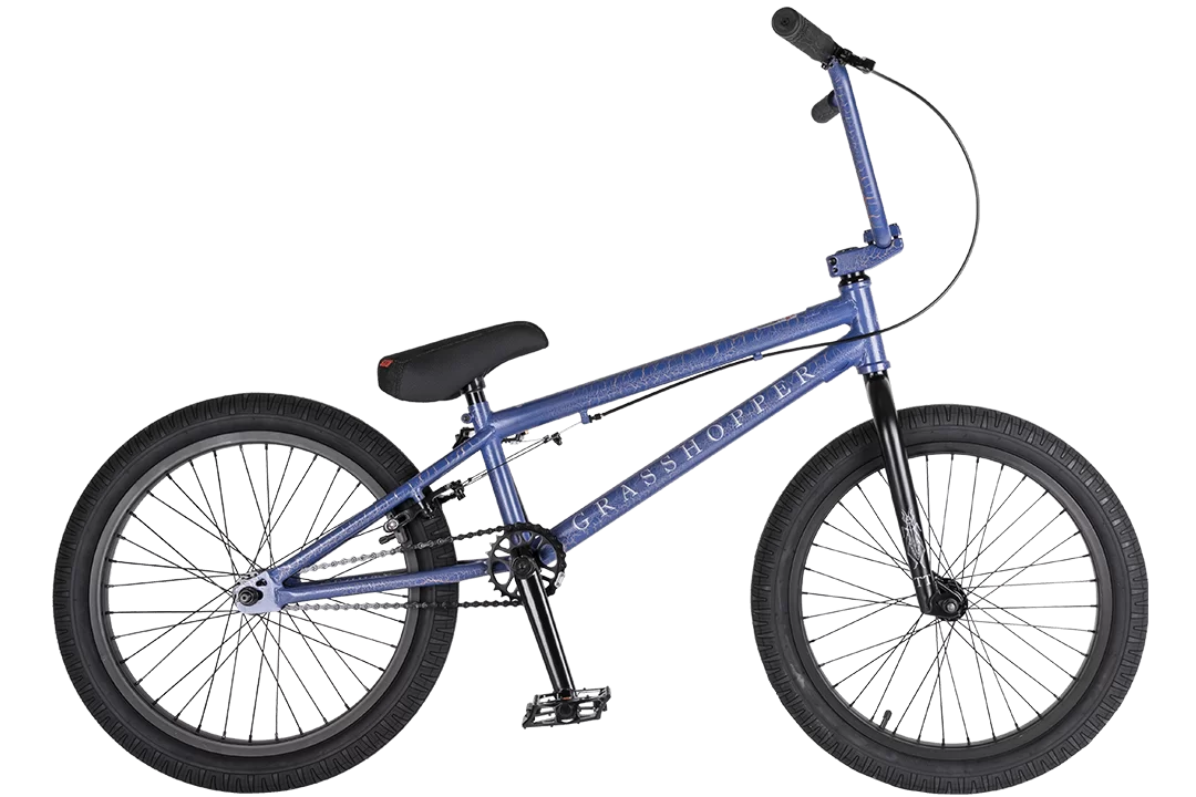 Фото Велосипед BMX TechTeam Grasshoper 20" (2021) синий со склада магазина СпортЕВ