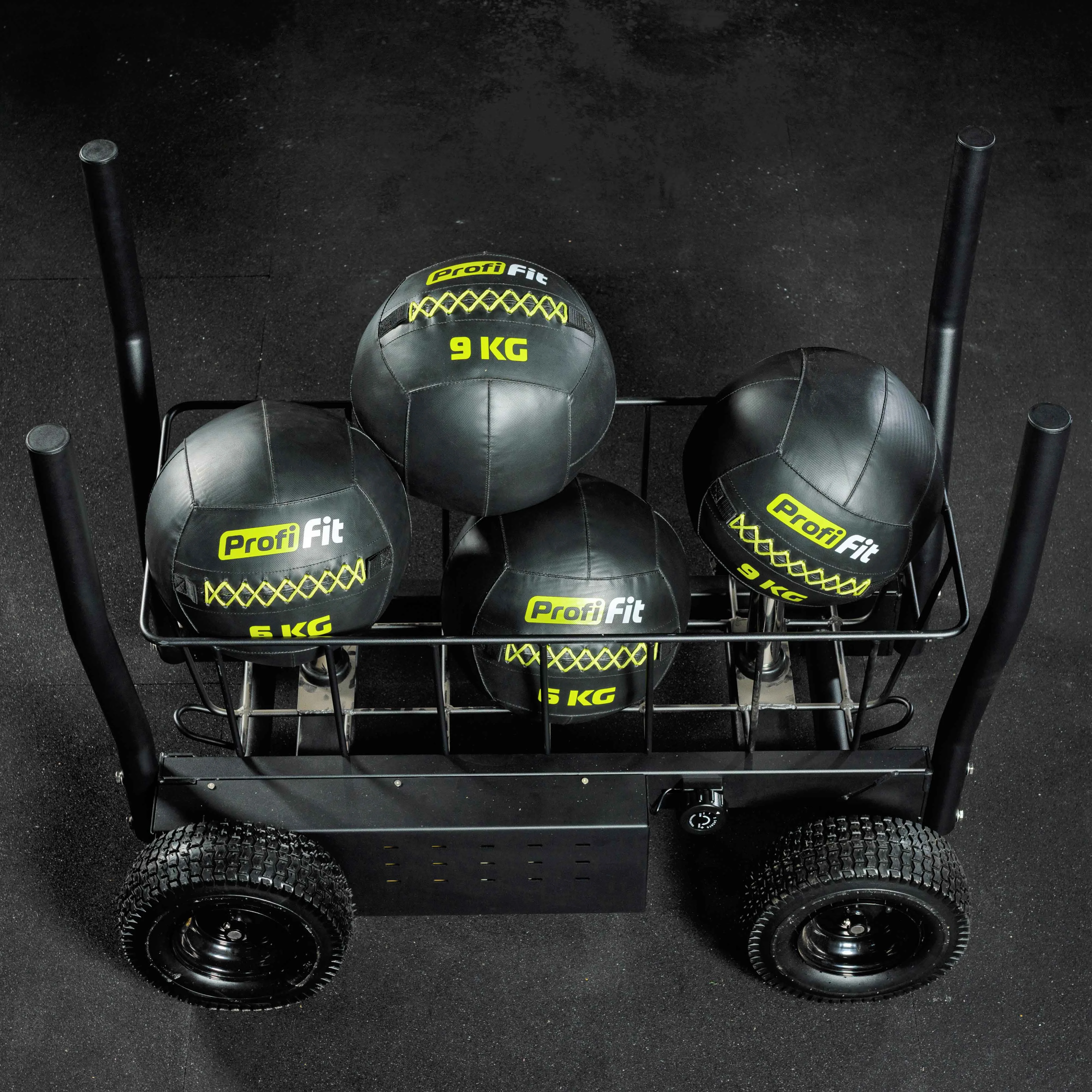 Фото Сани-тележка для функционального тренинга ТАНГЕН со склада магазина Спортев