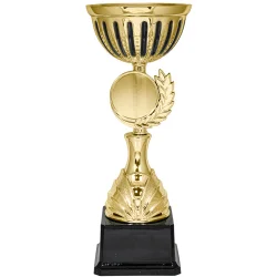 Кубок KB 5095 C (H- 27 см, D- 100 мм)