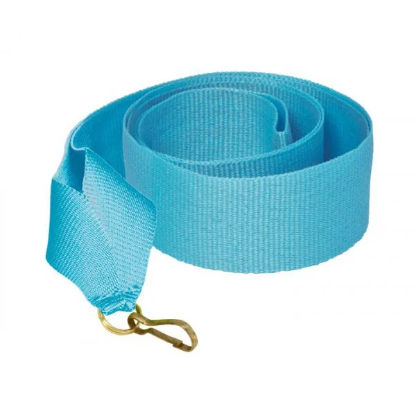 Фото Лента для медали V8-LBL голубая (10 мм) со склада магазина Спортев