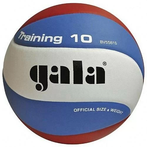 Фото Мяч волейбольный Gala Training 10 р.5  синт. кожа ПУ клееный бел-гол-красн BV5561S со склада магазина СпортЕВ