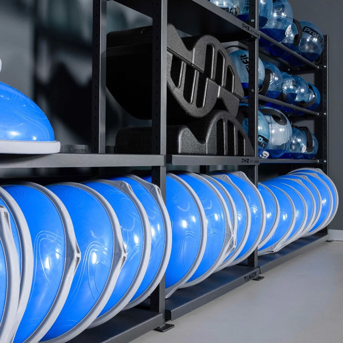 Фото Полусфера для фитнеса PROFI-FIT со склада магазина Спортев