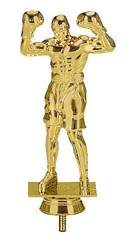 Фото Фигура B203/G бокс (H-16 см) со склада магазина Спортев