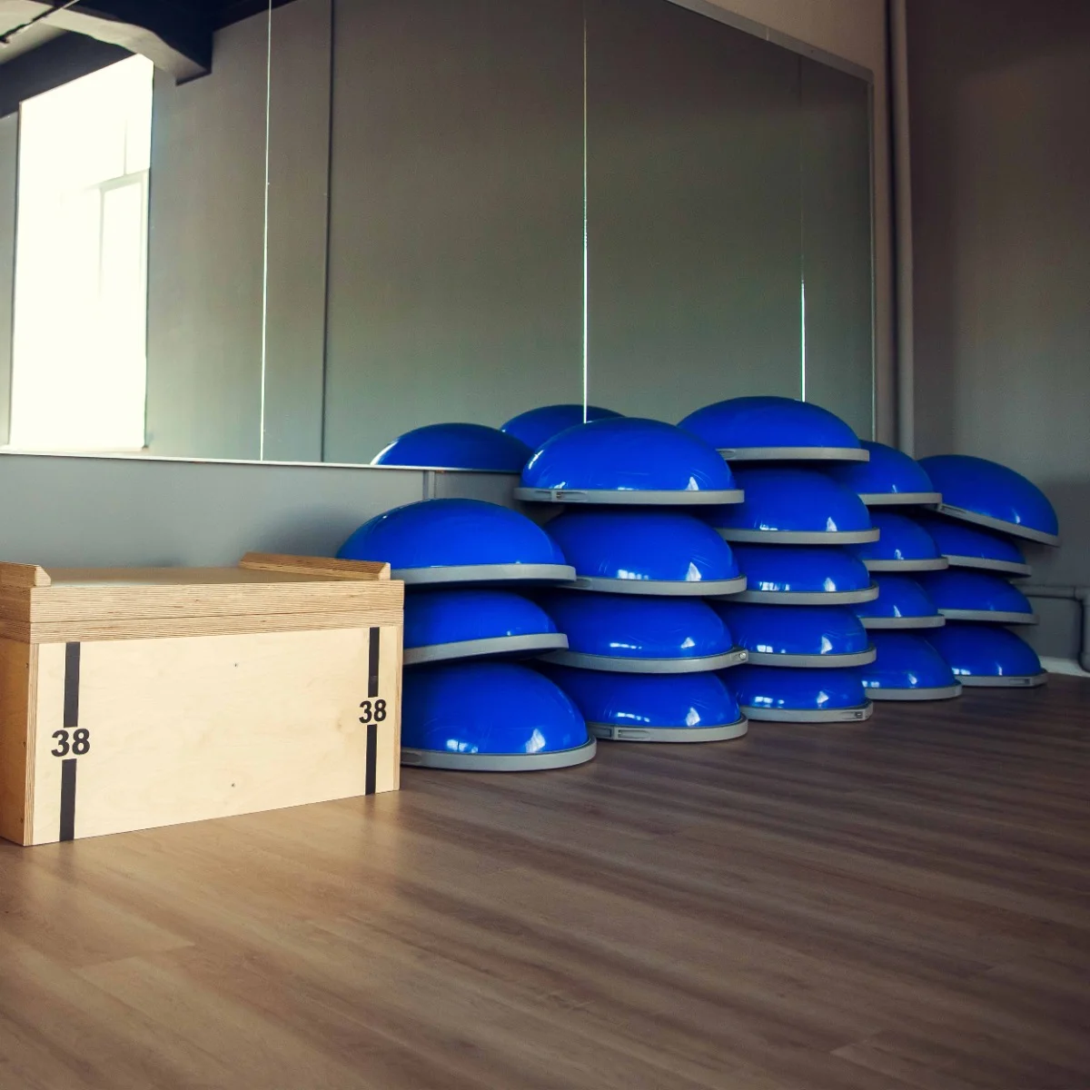 Фото Полусфера для фитнеса PROFI-FIT со склада магазина Спортев