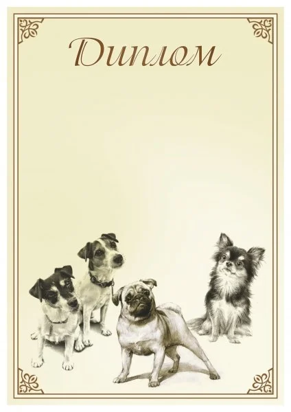 Фото Диплом 00576 Собаки со склада магазина Спортев