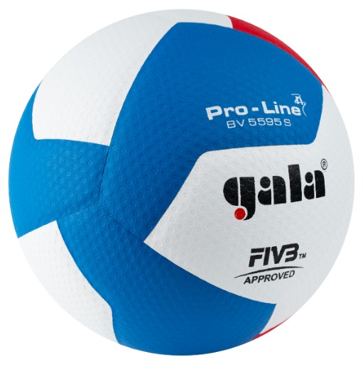 Фото Мяч волейбольный Gala Pro-Line 12 р.5 FIVB синт.кожа ПУ клеен белый/гол/красный BV5595S со склада магазина Спортев