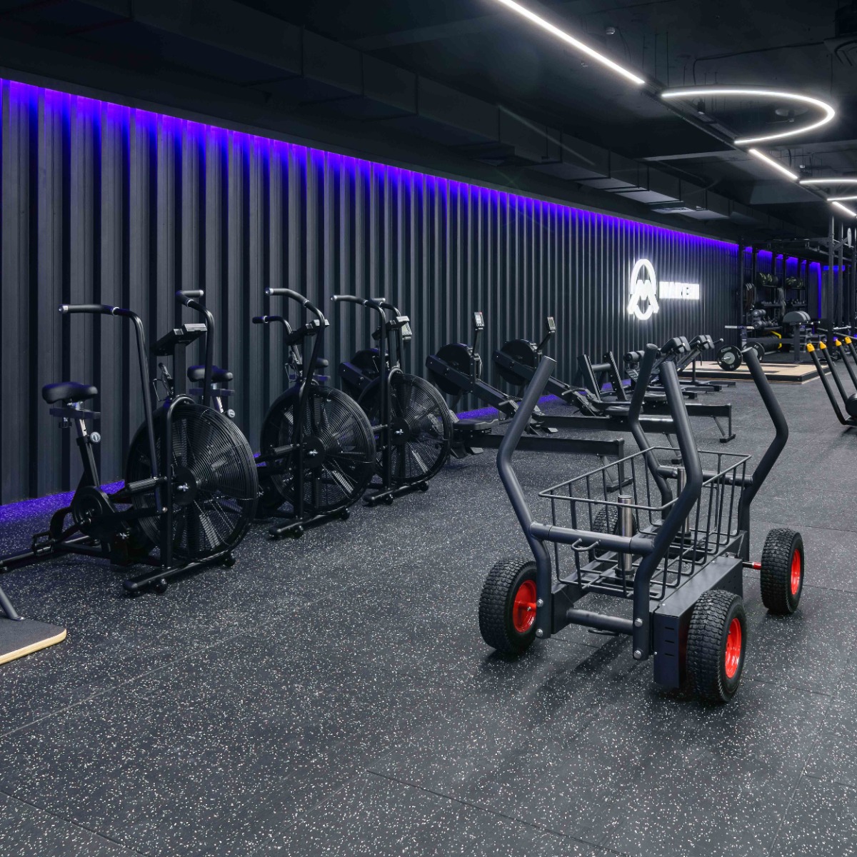 Фото Сани-тележка для функционального тренинга (Тренажер Tank) TANGEN со склада магазина Спортев