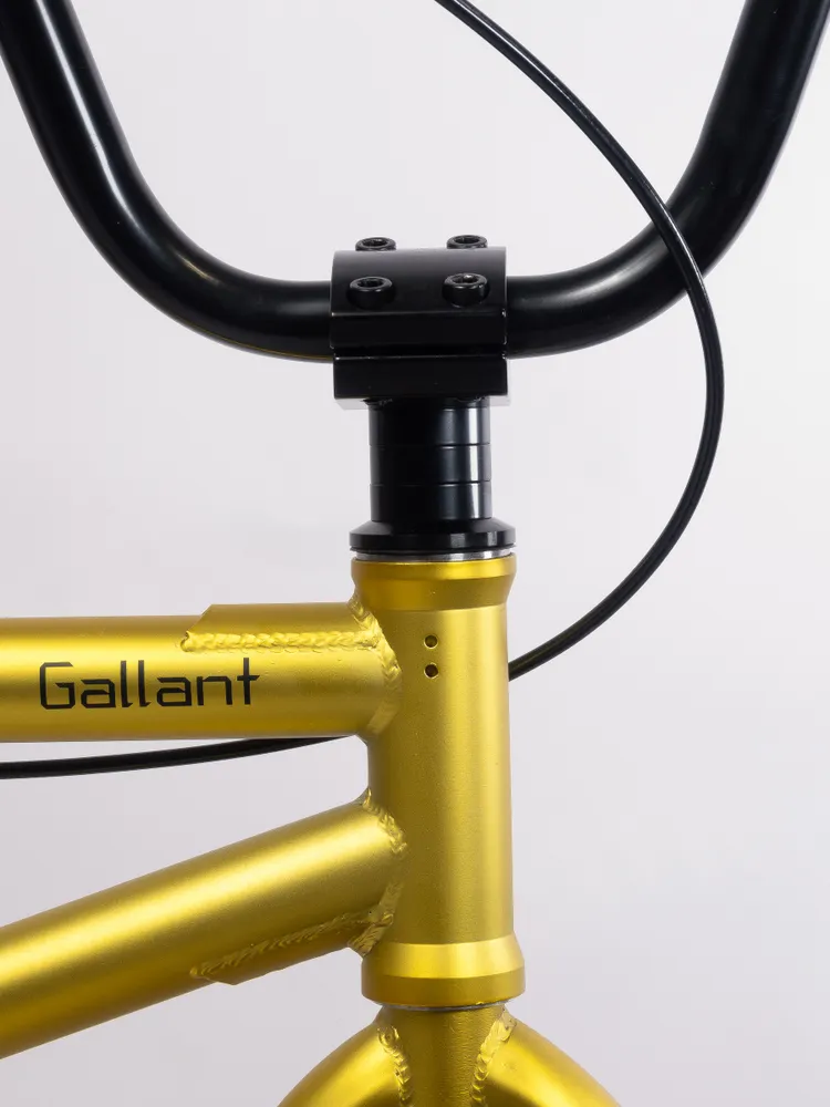 Велосипед GAVER Callant BMX 20" Фото Велосипед GAVER Callant BMX 20" со склада магазина Спортев