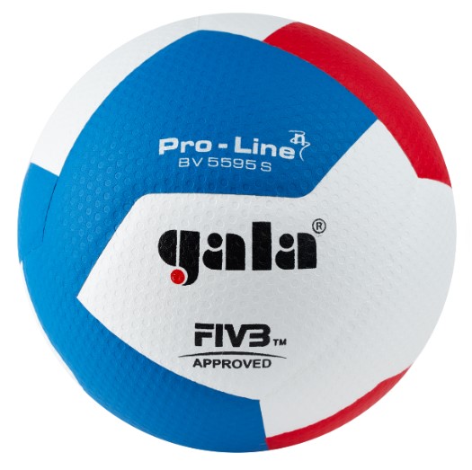 Фото Мяч волейбольный Gala Pro-Line 12 р.5 FIVB синт.кожа ПУ клеен белый/гол/красный BV5595S со склада магазина Спортев