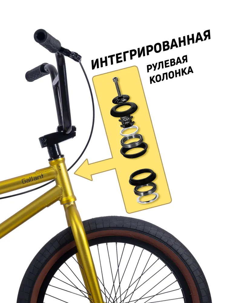 Велосипед GAVER Callant BMX 20" Фото Велосипед GAVER Callant BMX 20" со склада магазина Спортев