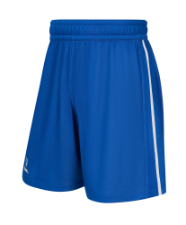 Шорты двухсторонние JOGEL DIVISION PerFormDRY Double-side Shorts, синий/белый