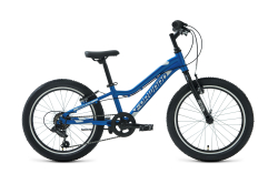 Велосипед Forward Twister 20 1.0 (7ск) (2021) синий/белый