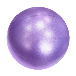 Мяч для пилатеса 20 см PLB20-6 фиолетовый E32680