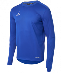 Джемпер тренировочный Jogel DIVISION PerFormDRY Pro Training Top синий