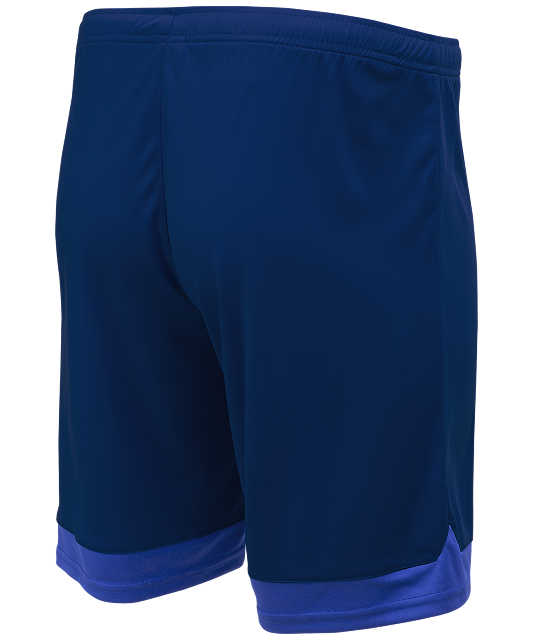 Фото Шорты игровые JOGEL DIVISION PerFormDRY Union Shorts, темно-синий/синий/белый со склада магазина Спортев