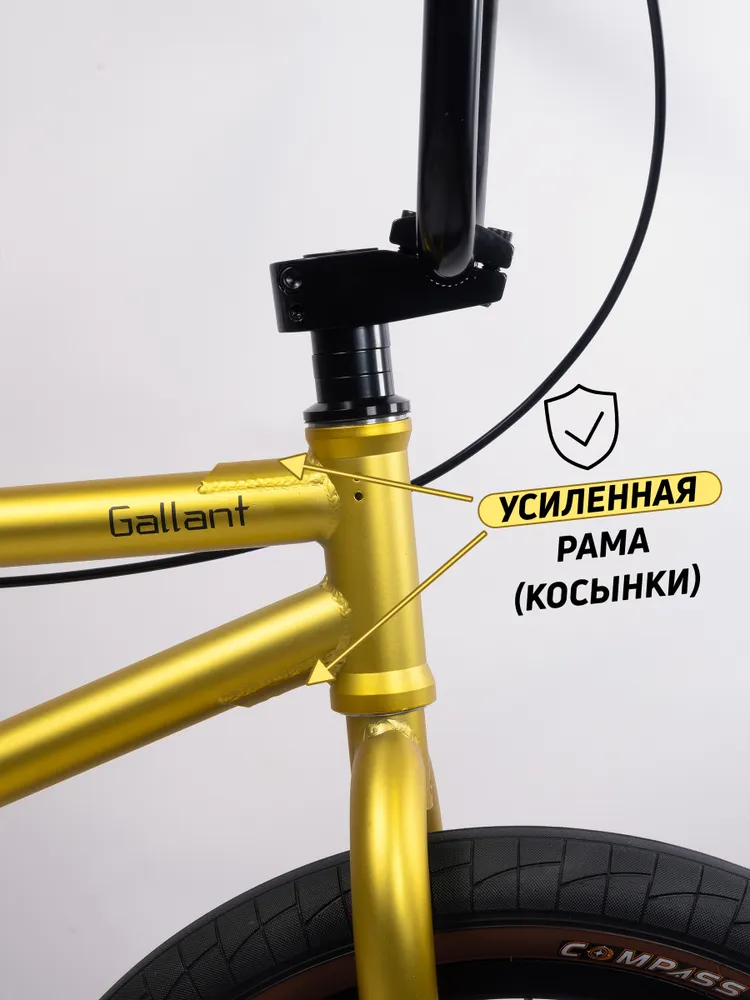 Велосипед GAVER Callant BMX 20" Фото Велосипед GAVER Callant BMX 20" со склада магазина Спортев
