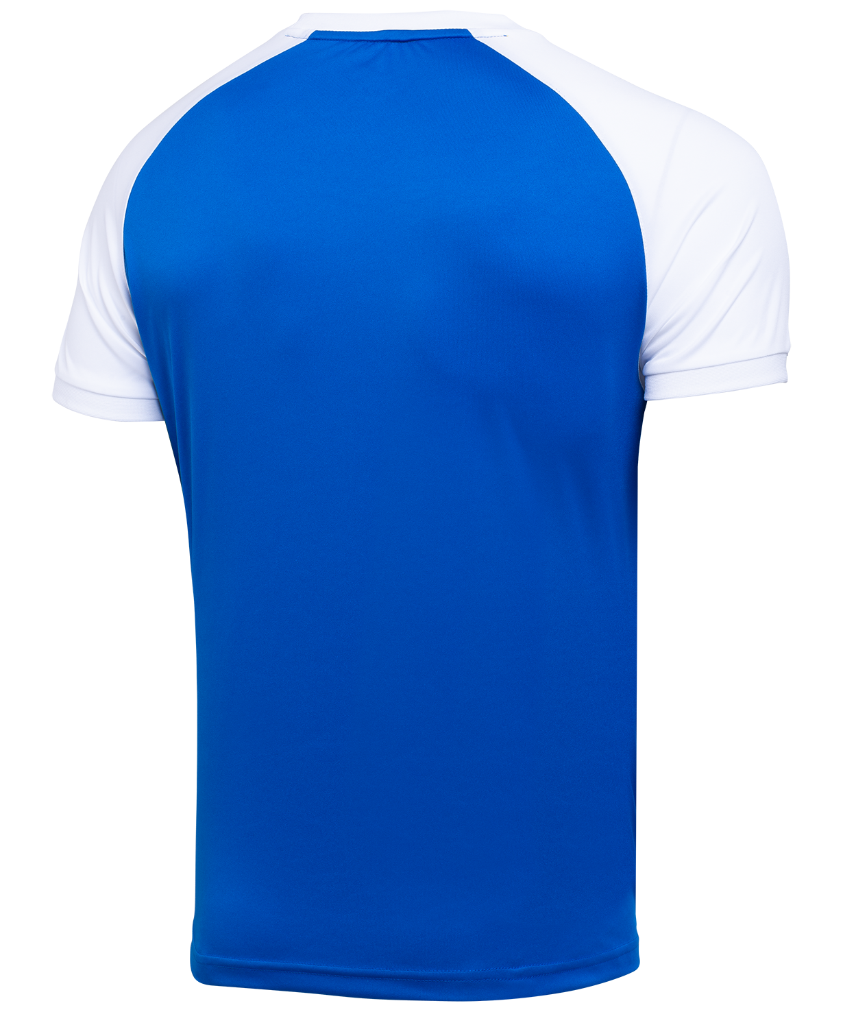 Фото Футболка игровая JOGEL CAMP Reglan Jersey, синий/белый со склада магазина Спортев